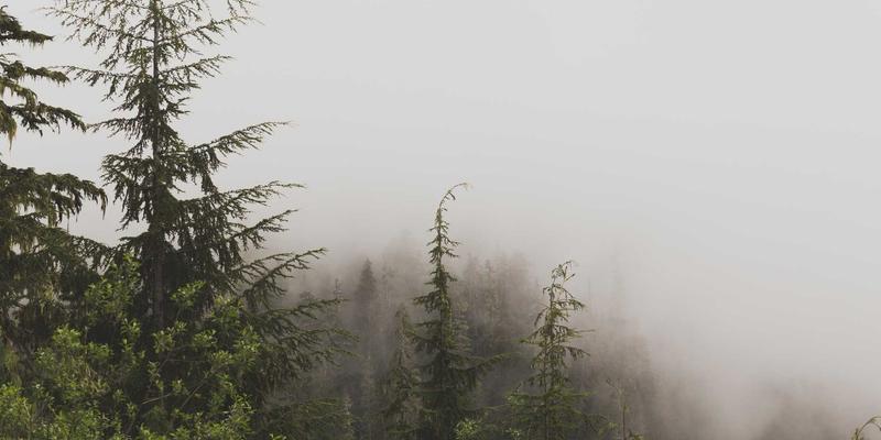 94漫画34：漫画连载、动漫讨论与在线漫画的沉浸式体验指南