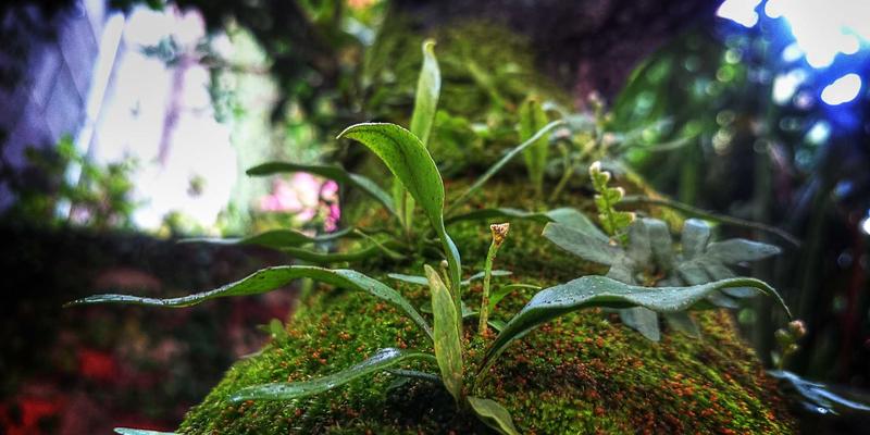 94漫画62：探索在线漫画与动漫社区的无限可能