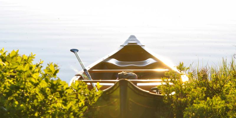 94漫画内容推荐算法揭秘：个性化书架如何精准匹配读者口味