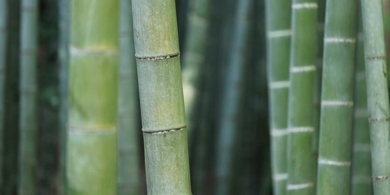 94漫画发展观察：在线漫画平台如何重塑动漫讨论生态