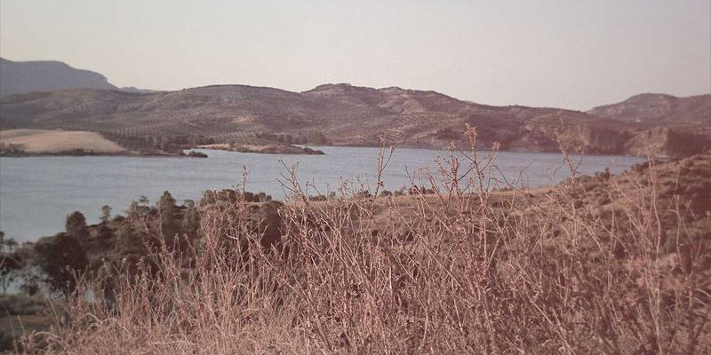 94漫画如何运用数字水印与反盗版技术，为创作者权益筑起坚固防线