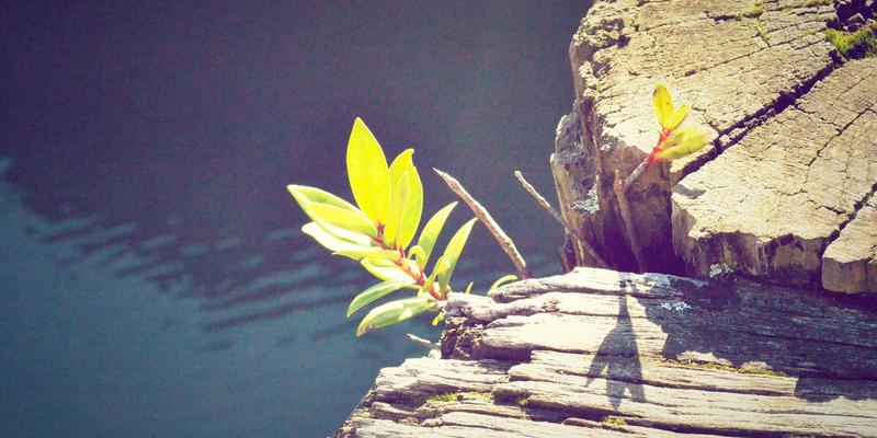 94漫画手机APP与网页版深度对比：哪个更适合你的在线漫画与连载追更需求？