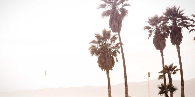 94漫画是什么？深度解析这个动漫讨论与漫画阅读的线上乐园