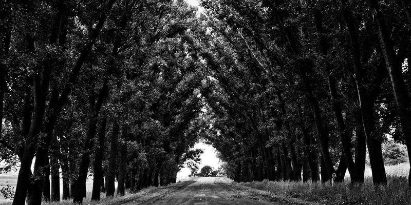 94漫画用户生成内容：同人创作与官方授权的边界解析