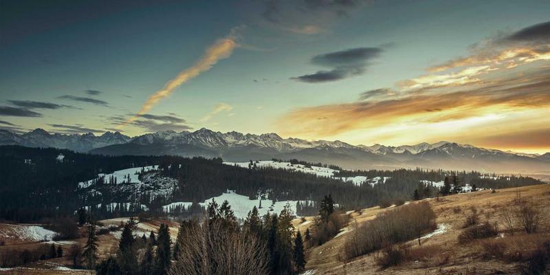 94漫画社区如何打造UGC内容生态：同人创作、深度评论与读者社群的良性循环