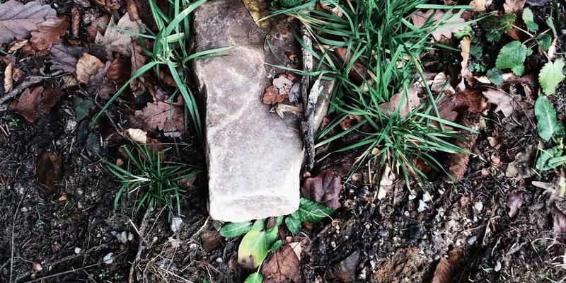 动漫社区内容审核机制深度剖析：如何在漫画连载自由与合规安全间找到平衡