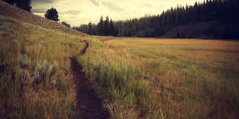 在94漫画社区挖掘宝藏：5个技巧找到冷门但高质量的漫画作品